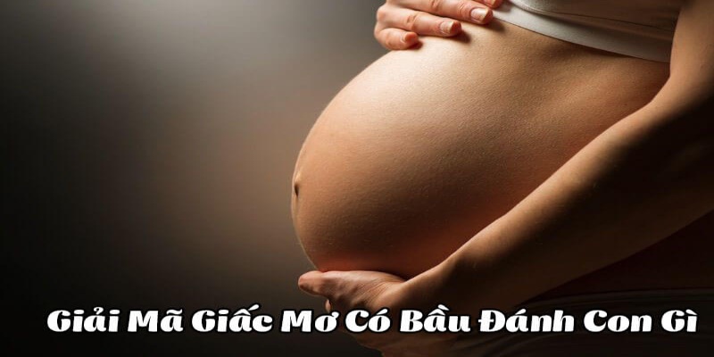 Mơ có bầu đánh con gì thắng lớn 