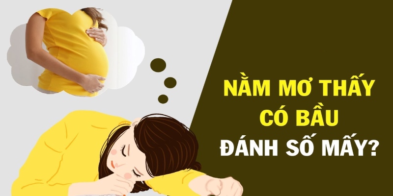 Mơ có bầu đánh con gì